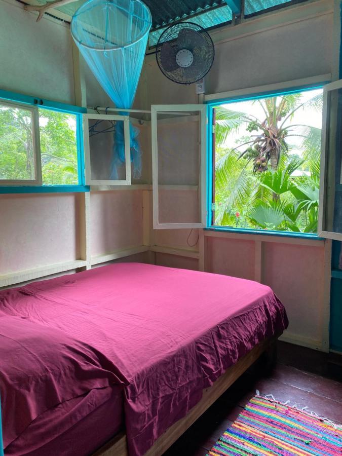 Hidden Jungle Beach House Puerto Viejo de Talamanca Zewnętrze zdjęcie