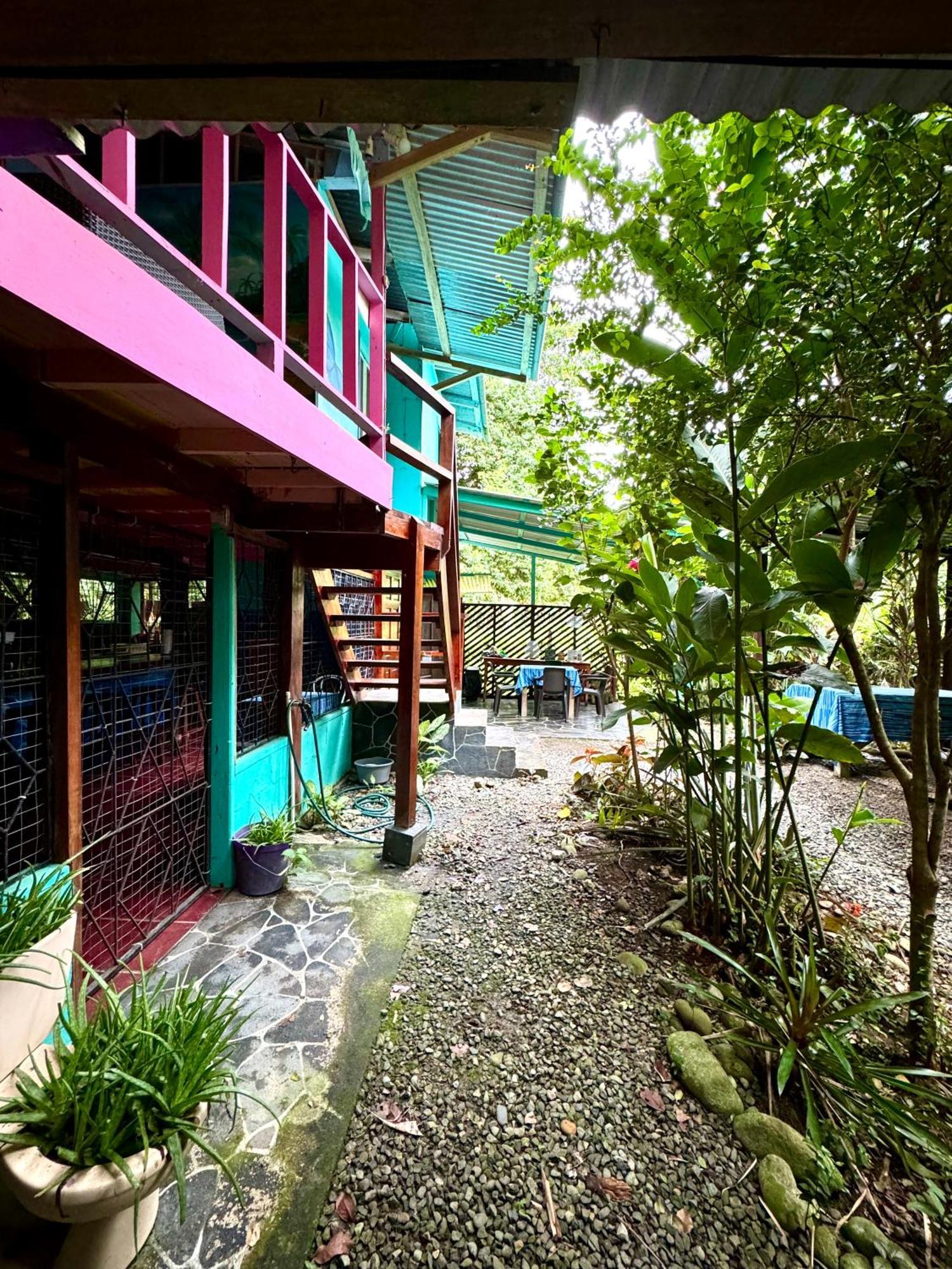 Hidden Jungle Beach House Puerto Viejo de Talamanca Zewnętrze zdjęcie