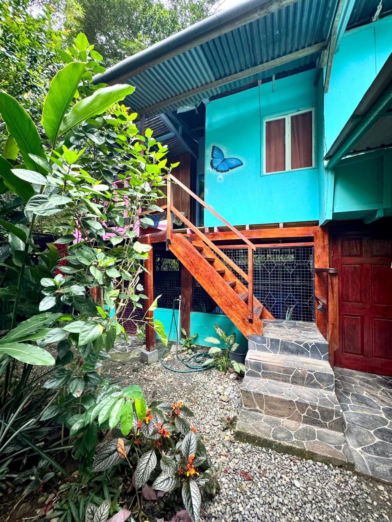 Hidden Jungle Beach House Puerto Viejo de Talamanca Zewnętrze zdjęcie
