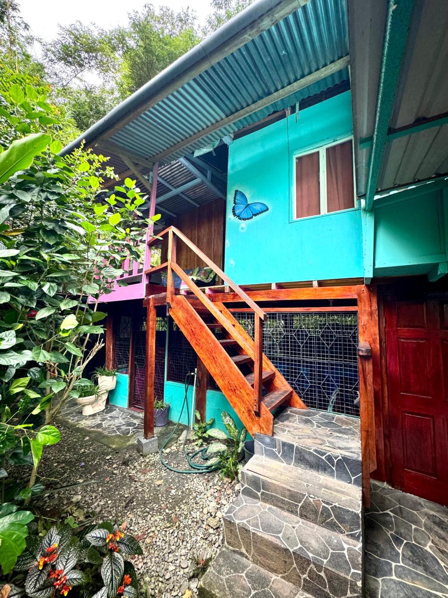 Hidden Jungle Beach House Puerto Viejo de Talamanca Zewnętrze zdjęcie