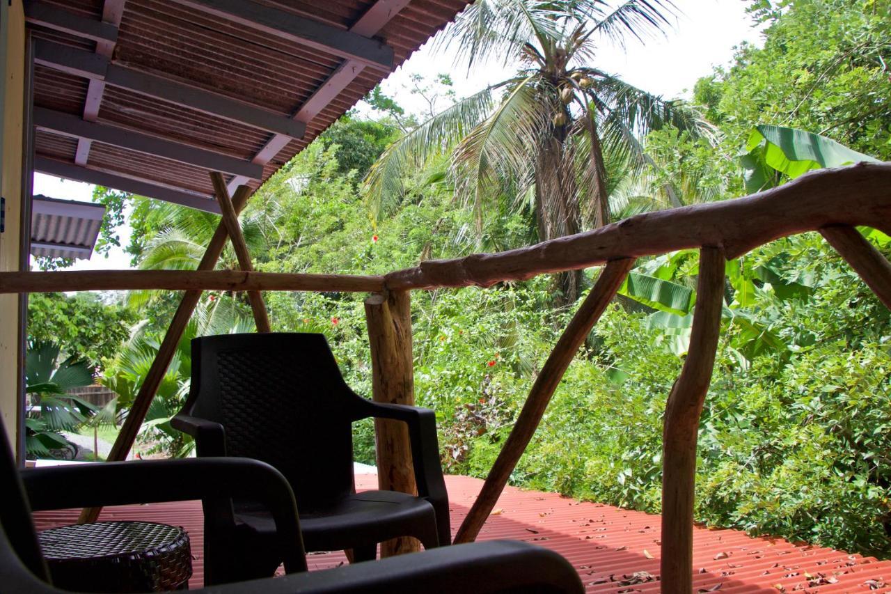 Hidden Jungle Beach House Puerto Viejo de Talamanca Zewnętrze zdjęcie